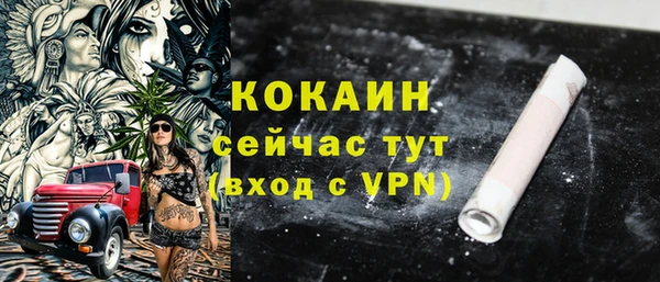 мдпв Волоколамск