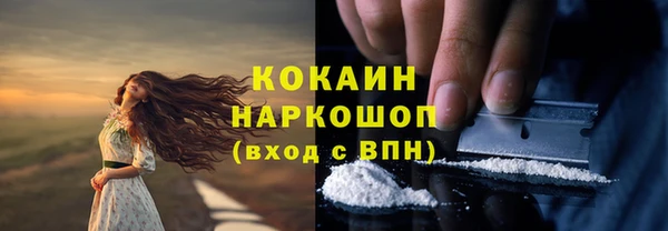 мдпв Волоколамск
