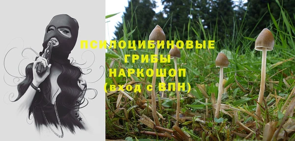 трава Верея