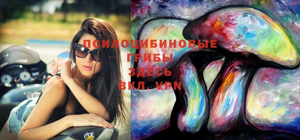 крисы Володарск