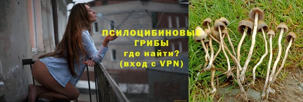 крисы Володарск